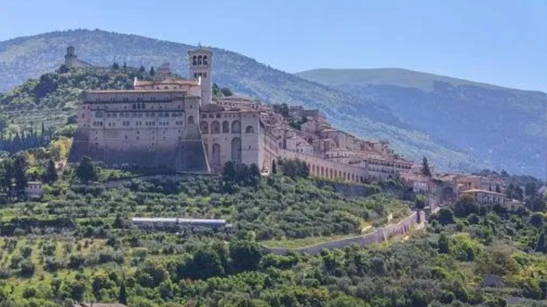 Assisi4