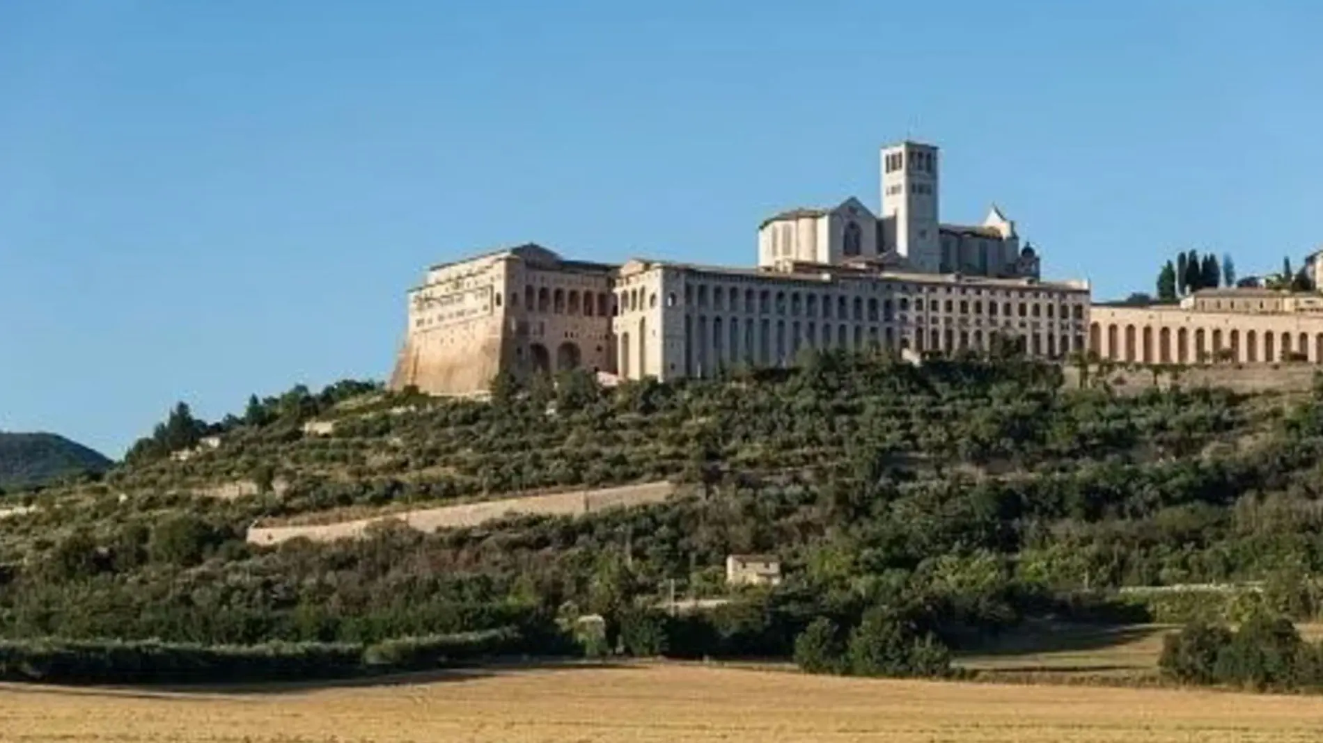 Assisi5