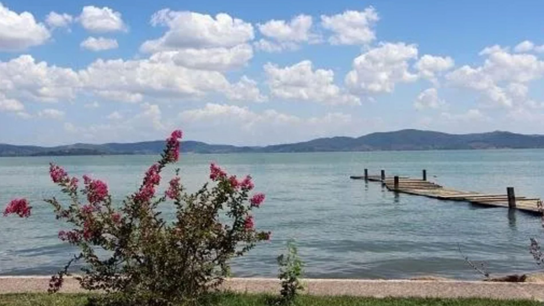 Trasimeno1