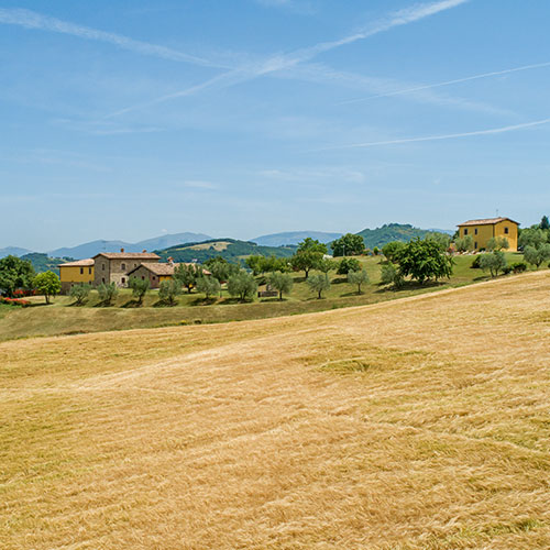 campo-agriturismo-la-biscina