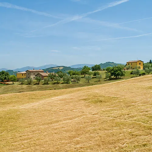campo-agriturismo-la-biscina